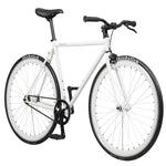 Urban Road Bike with Flip Flop Hub